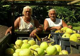 Download 6 Questions How Breadfruit Will Change The World Batesmeron