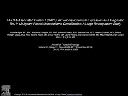 Maybe you would like to learn more about one of these? Brca1 Associated Protein 1 Bap1 Immunohistochemical Expression As A Diagnostic Tool In Malignant Pleural Mesothelioma Classification A Large Retrospective Ppt Download
