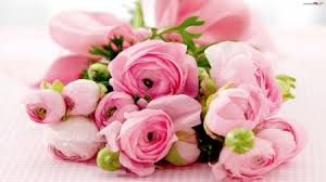 Qualità da hd a 4k, disponibile gratuitamente su tutti i dispositivi! Fiori Per Compleanno Inviare Fiori E Regali
