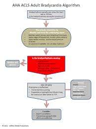 2020 Bradycardia Algorithm Review Acls Algorithms Com