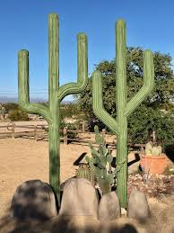 The bioplastic can be made in various colours, thicknesses and degrees of flexibility. Pin On Cactus