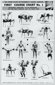 Chart For Exercise In Gym Jasonkellyphoto Co