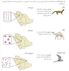 نتيجة بحث الصور عن صور تاريخ اتجاهات نمو الجماعة البشرية Art Map