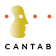 Cambridge Cognition