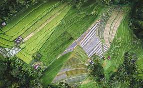 Maybe you would like to learn more about one of these? Manfaat Kerjasama Dibidang Industri Kreatif Manfaat Kerjasama Dibidang Industri Kreatif Mengenal