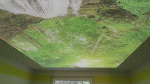 Bedruckte Spanndecke Mit Motiv Motive Sind Frei Wahlbar Fur Jeden Geschmack Das Richtige Bild Mit Und Ohne Beleuchtung Ein Spanndecken Decke Beleuchtung