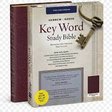 Also include kjv bible text version for reading. The Hebrew Greek Key Word Study Bible New American Standard Bible New King James Version The