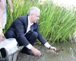 Jun 22, 2021 · а накануне сергей семёнович выступил с новым заявлением, упомянув в нём штамм «дельта». Mitrofan Su Twitter Sergej Semenovich Sobyanin Pomogaet Rybam Evolyucionirovat Dostavaya Ih Iz Vody Na Bereg