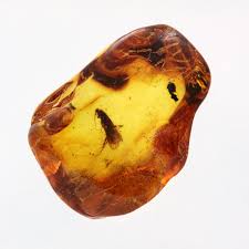 نتیجه جستجوی لغت [inclusions] در گوگل