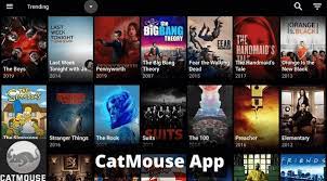 Pure vpn mejor aplicacion para fire stick 2018 android apk. How To Install Catmouse Apk On Firestick Nov 2021 Updated