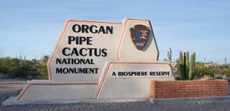 Along with organ pipe, many other types of cacti and other. Fees Passes Organ Pipe Cactus National Monument U S National Park Service