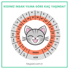 kediniz insan yilina gore kac yasinda heypati adana veteriner klinigi 0533 193 72 84
