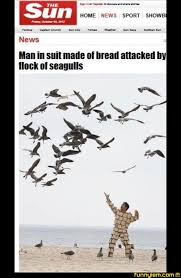 Guy On A Buffalo Memedroid