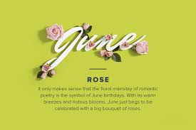 Birthday Flowers The Complete Guide Of Birth Month Flowers Proflowers June Birth Flower Birthday Flowers June Flower