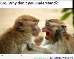 The monkey seems to respond to their questions with gestures. Funny Monkey Quotes Quotesgram