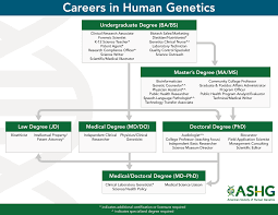 Utoledo's graduate certificate tracks are ideal for nurses who have a current master's or doctor of nursing practice degree and want to expand their practice the family nurse practitioner graduate certificate is offered to individuals who have completed a master's degree in nursing or doctorate in. Careers In Human Genetics Ashg