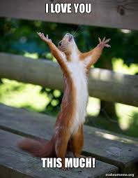 I Love You This Much Happy Squirrel Make A Meme