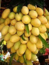 Can I Live Where This Happens Legume Exotique Fruits Exotiques Fruits Et Legumes