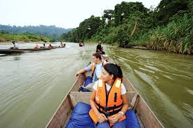 The park is often simply referred to as taman negara and this is one of the best places to come in malaysia if you want to get back to basics and enjoy some of the. 10 Best Things To Do In Taman Negara With Photos Touropia