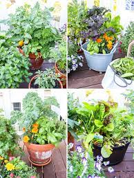 How To Grow A Kitchen Garden In Pots My Lovely Little Lunch Box Organic Vegetable Garden Organic Gardening Tips Organic Gardening Design