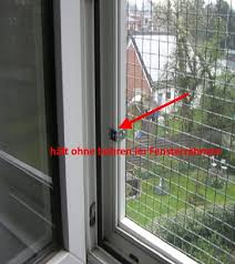 Sicherer Halt Ohne Bohren Katzen Fensterschutz Katze Katzen Wohnungen