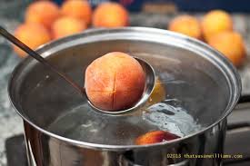 Place peach skins and pits in pot and cover with water. Peach Pit Jelly That Susan Williams