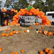 Image result for fat ass pumpkin