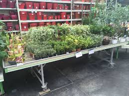 Diy Jardinerie Jardinerie Maison Idee