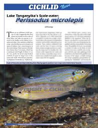Cichlid News contents April 2024