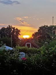 Kleingartenbauverein Leer E V Am Westerhammrich Startseite Facebook