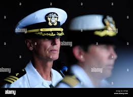 Deceased wasp hi-res stock photography and images