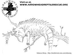 Brick coloring can be applied to armor, weapons, saddles to color their regions. Coloring Book Green Ember Coloring Pages Novocom Top