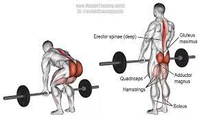 Check spelling or type a new query. Can You Only Do Deadlifts All Year Long And Still Have A Nice Back Quora