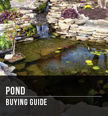 Pondkeeper gc tek 1500 filter system ponds 1,500 gallons and 62.5 lbs fish load $2,267.95 ships from and sold by amazing pond supplies. Ponds Buying Guide At Menards