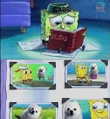 During the events of the happening, one of the many images of the dog known as kabosu gained sentience and broke free from its intellectual cage. 16 In Memory Of Gabe Ideas Gabes Dogs Memes