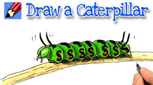 Please like, comment, and share. How To Draw A Caterpillar Youtube