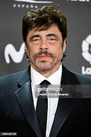 13,593 Benicio Del Toro Photos & High Res Pictures