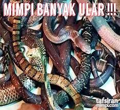 Berikut adalah angka tafsir mimpi ular di buku mimpi ular bergambar 2d. Mimpi Banyak Ular Ketahui Apa Tandanya Ular Dalam Mimpi