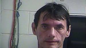 Several dogs rescued in Elliott County