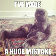 I Ve Made A Huge Mistake Realization Cat Quickmeme
