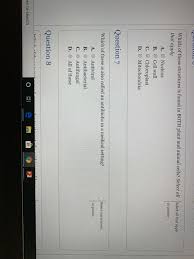 Maybe you would like to learn more about one of these? Which Of These Structures Is Found In Both Plant And Chegg Com