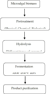Analysis Of Process Configurations For Bioethanol Production