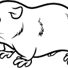Print guinea pig coloring page (color). 1