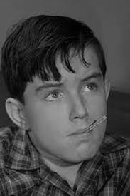 Jerry Mathers List of Movies and TV Shows