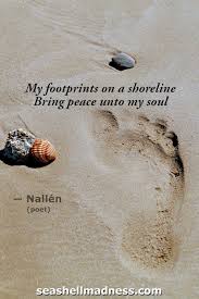 Frame these quotes for the bedside table to remind you of those special moments spent on the beach. 55 Beach Quotes Some Well Known Many New And Unique With Pics Seashell Madness