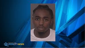 Stallings Police K-9 unit catches man after car chase, wreck