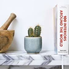 Easy steps on how to propagate a cactus. Small Cactus Cactus Euphorbia Indoor Plants In London Patch