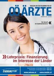 Viele Österreicher haben sich in der Vergangenheit für eine Fremd