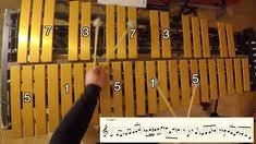 12 Vibraphone Marimba Jazz Ideas In 2020 Marimba Jazz Jaz Z