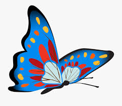 Kalo dipikir pikir emang kupu kupu ini bagus banget sih kalo. Koleksi Sketsa Kupu Kupu 2020
